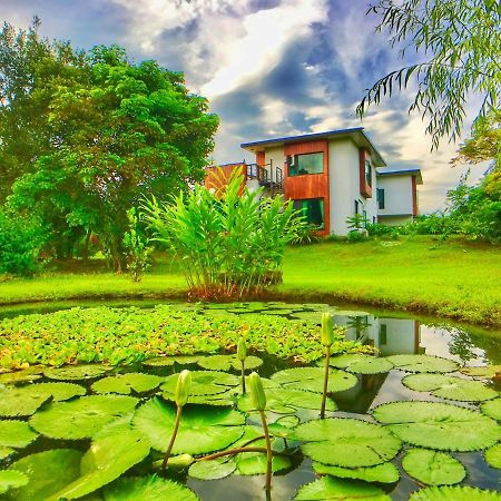 雲起軒民宿 Cloudscape B&B Cát An Ngoại thất bức ảnh